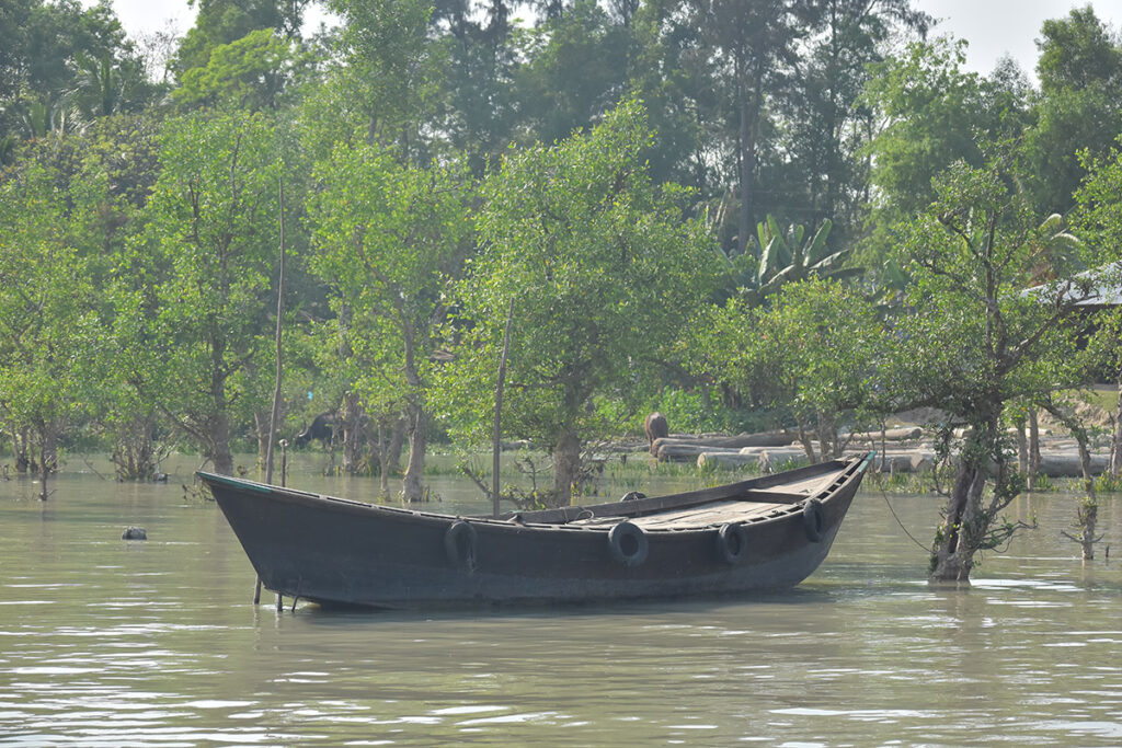 Biodiversity Loss and Risks in the Sundarbans: A Critical Perspective