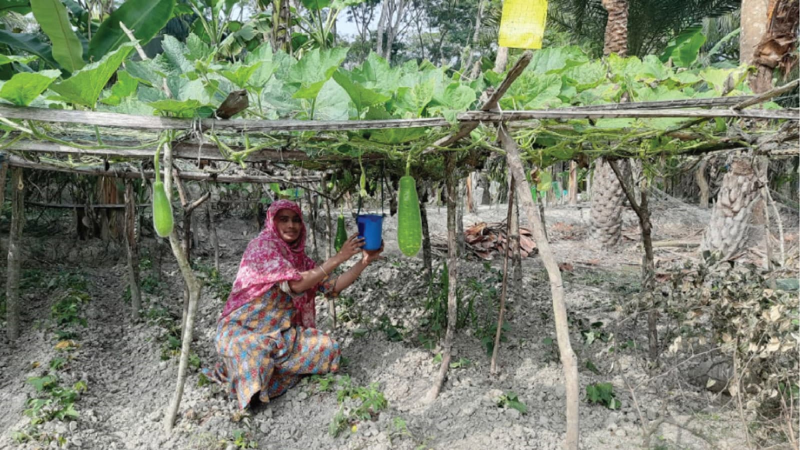 Green Growth, Agriculture & Food