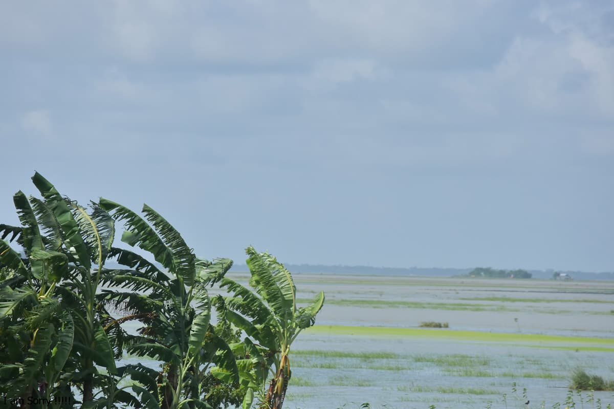 Transforming Livelihoods Through Innovation